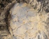 Foto del paso 4 de la receta: Ñoquis de Ricota