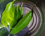 Foto langkah ke 1 dari resep Rebusan Daun Salam/ Herbal Hypertension Drink.