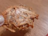 Papas Rusty / Papas con onda