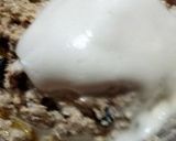 Foto del paso 5 de la receta: Galletitas de avena y aquafaba