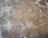 Foto del paso 2 de la receta: Bacalao a la Laguna