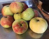 Une image de l'étape 3 de Maxi tarte aux pommes du jardin et miel d Algarve pâte brisée au cassis.