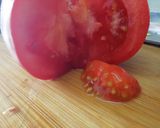 Foto del paso 1 de la receta Aperitivo ahumado