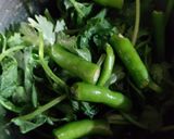 A picture of step 1 of Green dip.