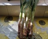 Foto del passaggio 1 della ricetta Frittata di cipollotti