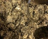 Foto del paso 2 de la receta: Albóndigas vegetarianas