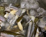 Hình bước làm 1 của món Mì Gói Xào Ốc Móng Tay