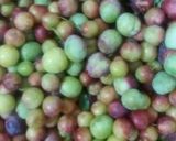 عکس مرحله 1 از دستور 🌳رب آلو طلایی 🌳