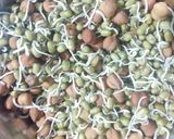A picture of step 1 of Sprouts chaat.