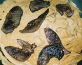 Foto del paso 4 de la receta: Hígado de cordero con curry