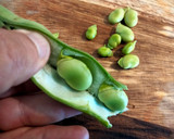 Foto del paso 3 de la receta: Habas estofadas