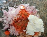 A picture of step 5 of Gutthi vankaya.