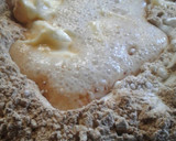 Foto del paso 1 de la receta: Pan dulce navideño de harina de algarroba y semillas