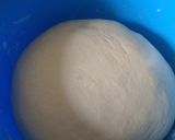 Foto del paso 6 de la receta: Pizza