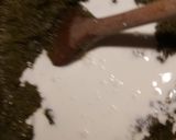 Tejszínes sóskafőzelék 🥣🥣🥣 recept fázis 2 fotója