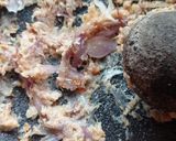 Foto langkah ke 3 dari resep Semur Kepala Sapi.
