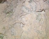 A picture of step 2 of Drumsticks leaves paratha.