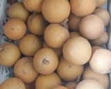 चिक्कु मिल्क शेक रेसिपी स्टेप 1 फोटो 