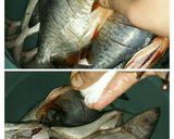 Foto langkah ke 2 dari resep Pepes Ikan Bawal ft Ikan Kembung Bumbu Kelapa Muda.