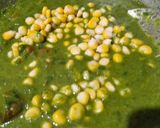 A picture of step 3 of Spinach and corn curry with garlic tempering.