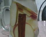 Foto langkah ke 11 dari resep Aneka infuse water.