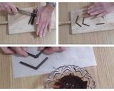 Foto del paso 3 de la receta: Arañas para Halloween