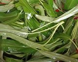 Foto langkah ke 2 dari resep Asem-Asem Ikan Patin dengan Kangkung.