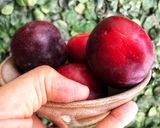 Foto del paso 1 de la receta: Fit batido de ciruelas con MyCook One
