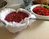 A picture of step 5 of Redcurrent jelly.