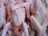 حمام محشي بوريه بطاطس وصوص البرتقال