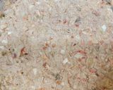 Foto del paso 7 de la receta: Ensalada de buey de mar
