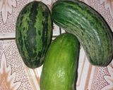 صورة لخطوة 1 من وصفة سلطة الفقوس أكلة صيفية باردة تبرد على القلب 😋😉