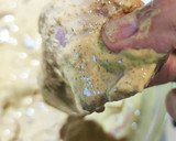 Foto del paso 6 de la receta: Pollo frito estilo Kentucky