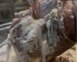 A picture of step 13 of Dal Bafla Baati Churma.