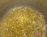 A picture of step 2 of Paneer curry in cooker.