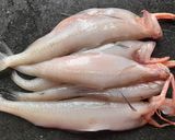 A picture of step 1 of Bombil Traditional curry.