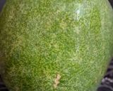 A picture of step 1 of Ash Gourd Halwa (Petha Halwa).