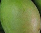 A picture of step 1 of Summer special Mango panna.