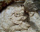 Foto del paso 4 de la receta: Budín súper integral de banana