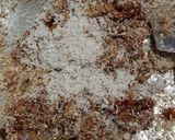 ખજૂર ડ્રાયફ્રુટ બરફી (Dates Dryfruit Barfi Recipe In Gujarati) રેસીપી સ્ટેપ2ફોટો