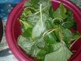 Keripik bayam