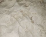 A picture of step 2 of Makai ki roti.