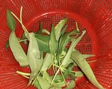Foto langkah ke 1 dari resep 4. Tumis Kangkung Sederhana.