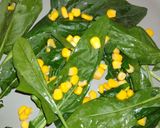 Foto del paso 4 de la receta: Ensalada de espinacas con tocino