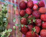 Foto langkah ke 1 dari resep Strawberry Compote | selai.