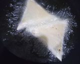 A picture of step 5 of Leftover moong ki daal ke samosey 😋.