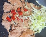 全素新豬肉炒烏龍的食譜步驟3照片
