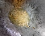 Gambar langkah 1 resipi 5:11:25 - Bayam goreng sempoi.