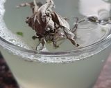 A picture of step 2 of ALovera juice.