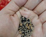 A picture of step 4 of Achaari Karela.